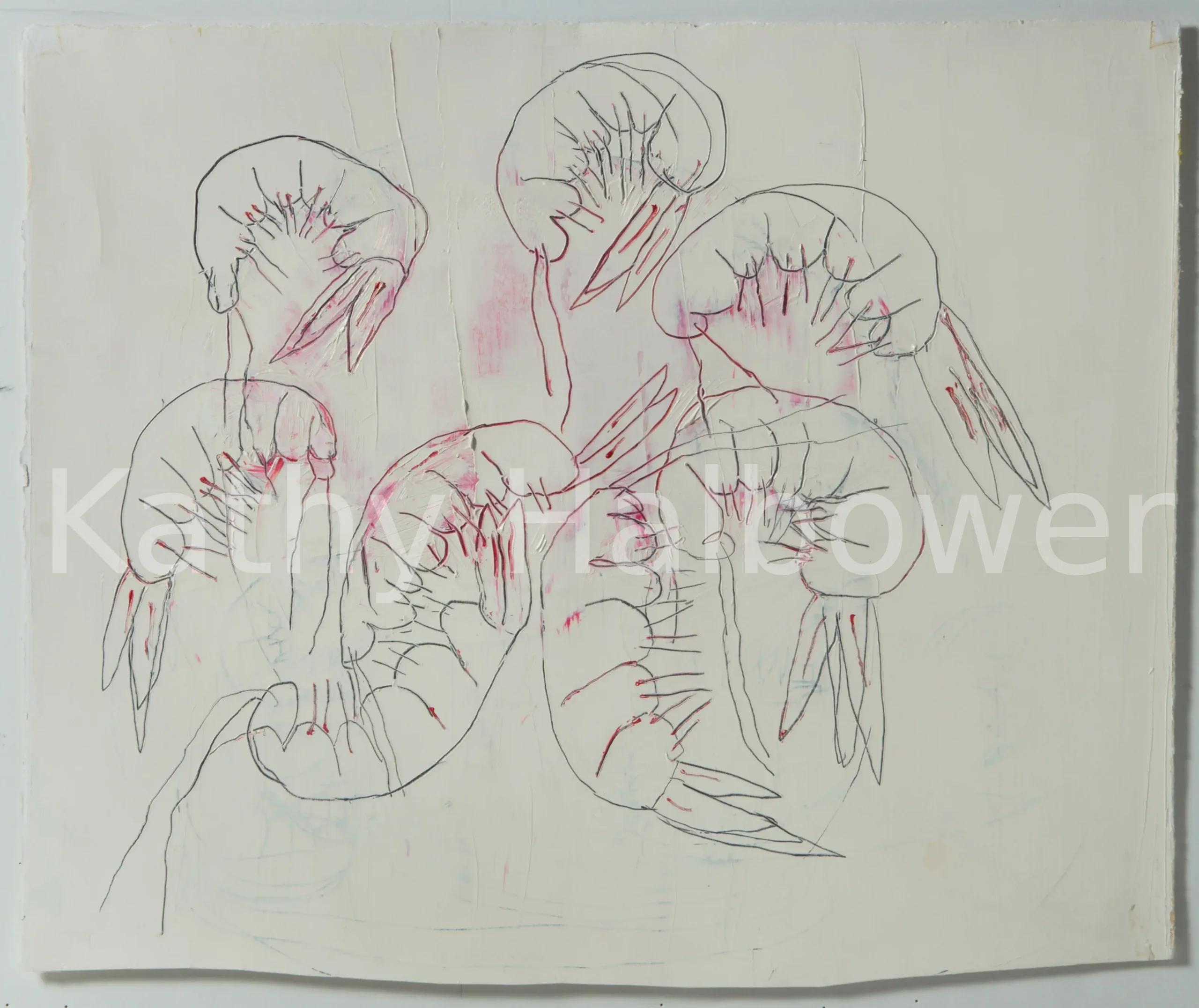 serie-27_20